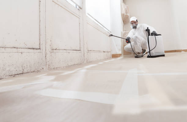 24/7 Emergency Attic Mold Remediation experts in Maple City, MI